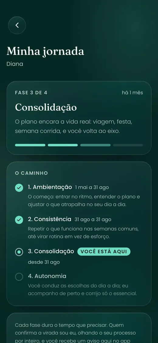 Tela da jornada com as fases do acompanhamento